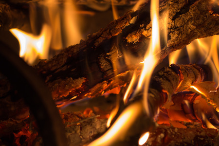 closeup of burning wood in a fireplace