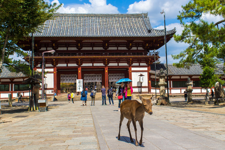 NARA, JAPAN - OCTOBER 13, 2015 - sika deer live freely near a temple in Nara, Japanのeditorial素材