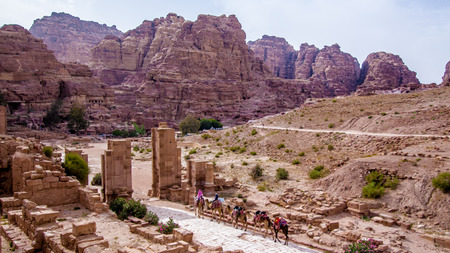 Arab camels among the ruins of the ancient city of Petra, Jordanの写真素材