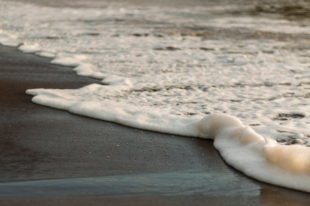 Seashore on the beaches of Costa Ricaの写真素材