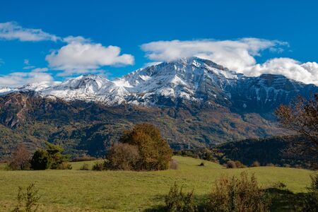 Snowy mountains at the end of a large meadowの写真素材