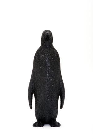 penguin in a white background similar antarcticaの写真素材