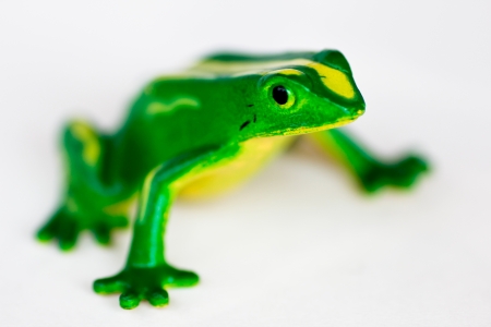 Plastic frog isolated on whiteの写真素材