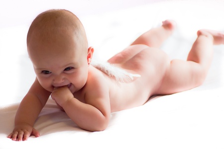 baby angel with a cotton wingsの写真素材