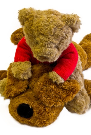 teddy bear and stuffed dog isolated on whiteの写真素材