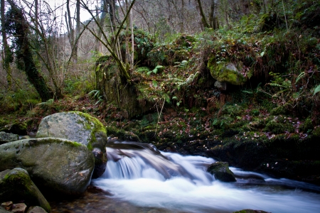 river forest in the north of Spainの写真素材