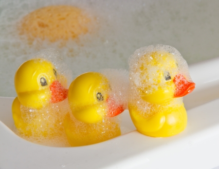rubber ducklings in a tubの写真素材
