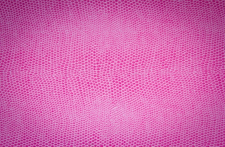 texture composed by a pink snake leatherの写真素材
