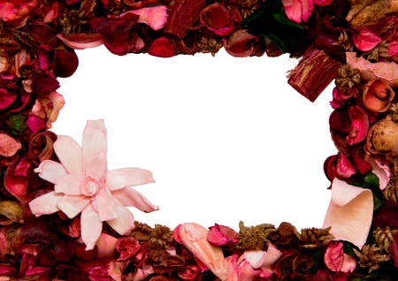 framework made with flower petalsの写真素材