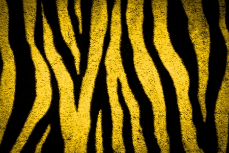 tiger leather texture background with black and yellow colorsの写真素材