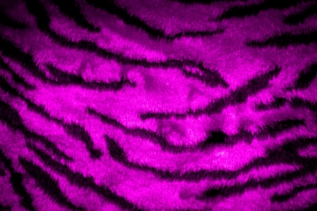 tiger leather texture background with black and pink colorsの写真素材