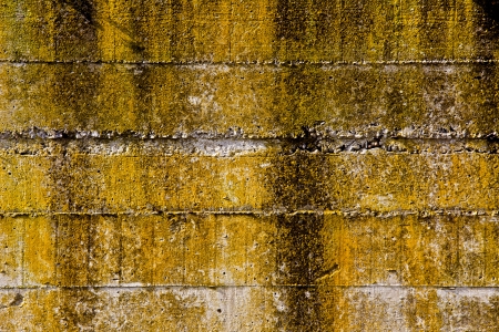 detail of a stone wallの写真素材