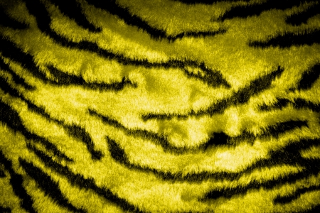tiger leather texture with black and yellow colorsの写真素材