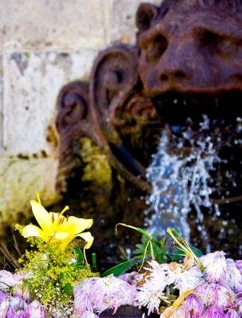old source with doves in Gijón, Spainの写真素材