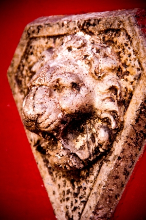stone lion head in a red wallの写真素材
