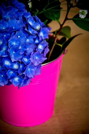 hands of an elderly woman making a bouquet of flowersの写真素材
