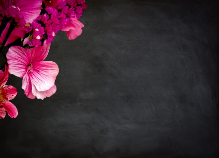 red flowers with a black dirty chalkboard backgroundの写真素材