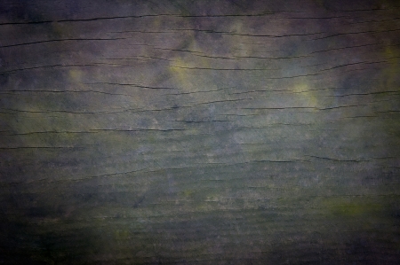 detail of a wood textureの写真素材