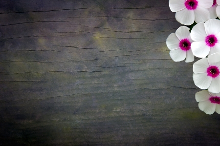 wood texture with some flowersの写真素材