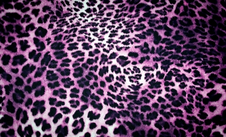 leopard texture in purple tonesの写真素材