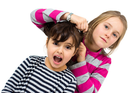two little girls combing isolated on whiteの写真素材