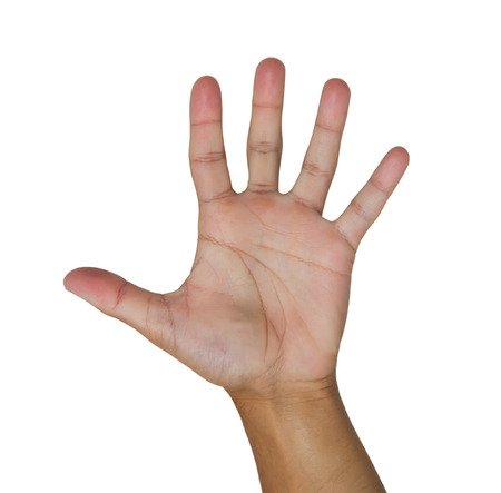 open hand isolated on whiteの写真素材