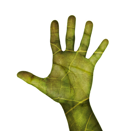 open hand with leaves texture isolated on whiteの写真素材
