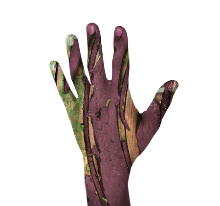 open hand with wood texture isolated on whiteの写真素材