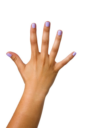 open hand isolated on whiteの写真素材