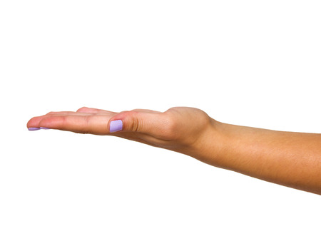 open hand isolated on whiteの写真素材