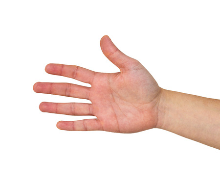 open hand isolated on whiteの写真素材