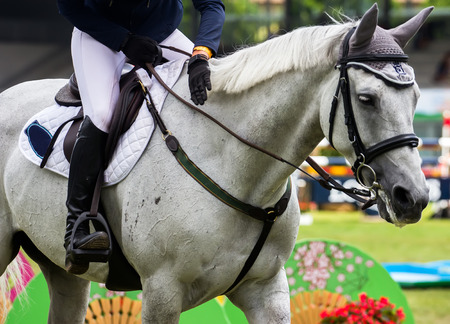 Participants in an international horse jumping competitionのeditorial素材