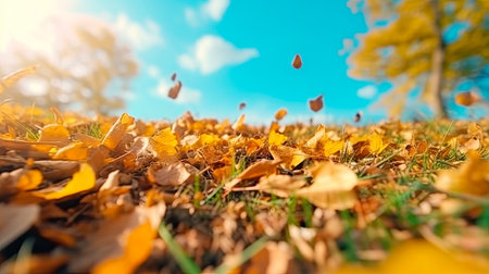 Blurred autumn field full of fallen leaves at sunset. Generative AIの素材