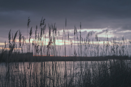 Enchanted Valleyの写真素材