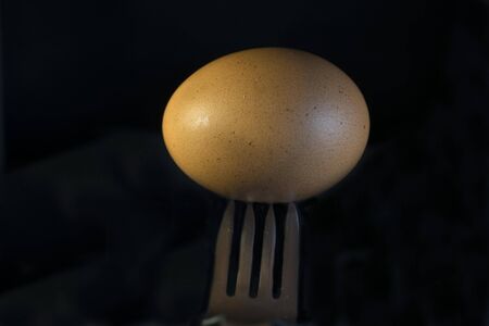 poised eggの写真素材