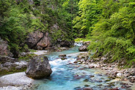 Orrido dello Slizza, beautiful nature area in Tarvisio, Udine province, Friuli Venezia Giulia, Italyの写真素材