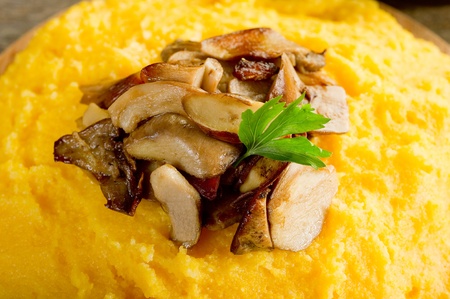 polenta with mushroomの写真素材