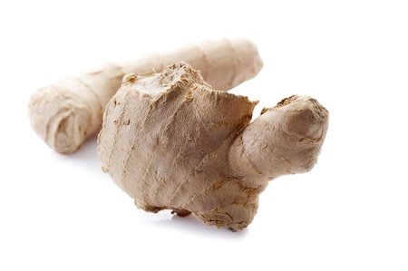 ginger on whiteの写真素材