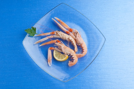 norway lobster with ingredients ready to cookingの写真素材