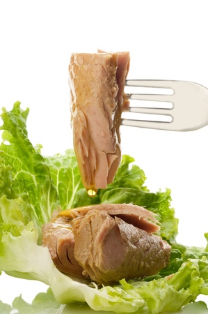 fork with tunaの写真素材