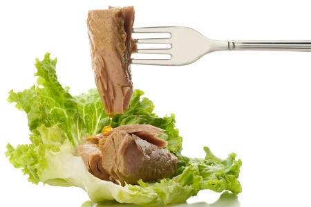 fork with tunaの写真素材
