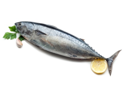 tuna with ingredients ready to cookingの写真素材