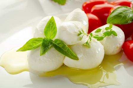 mozzarella and tomatoesの写真素材