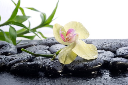 spa conceptの写真素材