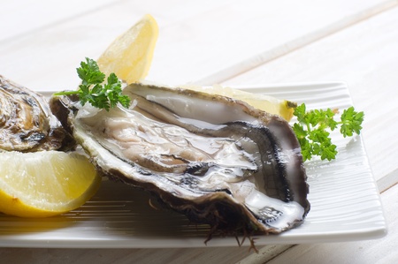 fresh french oysterの写真素材