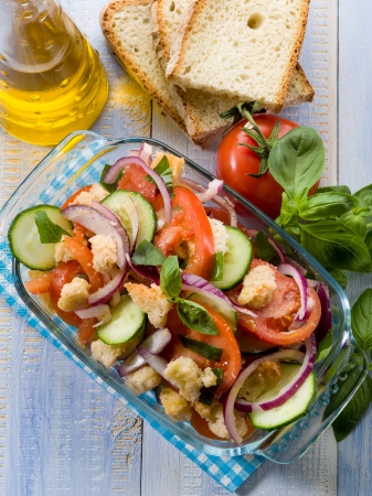 panzanella traditional tuscany saladの写真素材