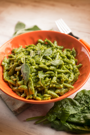spaghetti with vegetarian ragout, selective focusの写真素材