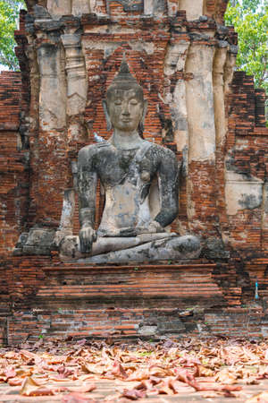 Ayutthaya, Thailand - November 10 2019:  Wat Mahathat temple area and his statues during sunny dayのeditorial素材