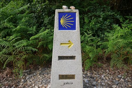 Yellow sign camino de Santiago show the wayの写真素材