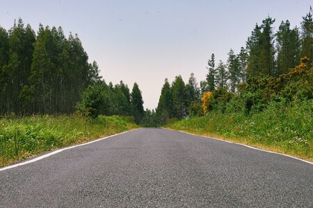 Straight asphalt road whit blue skyの写真素材